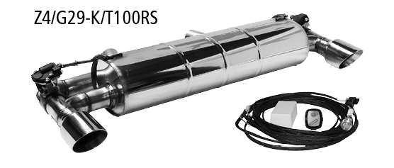 Endschalldämpfer mit Einfach-Endrohr 1x Ø 100 mm LH+RH (im RACE