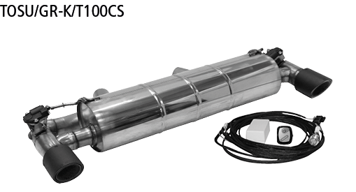 Endschalldämpfer mit Einfach-Endrohr Carbon 1x Ø 100 mm LH+RH (i