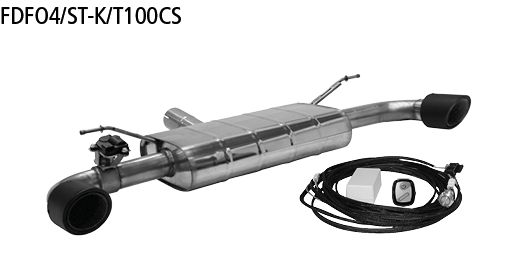 Endschalldämpfer mit Einfach-Endrohr Carbon 1x Ø?100?mm LH+RH (i