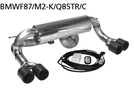 Endschalldämpfer mit Doppel-Endrohr Carbon 2 x Ø 85 mm LH + RH m