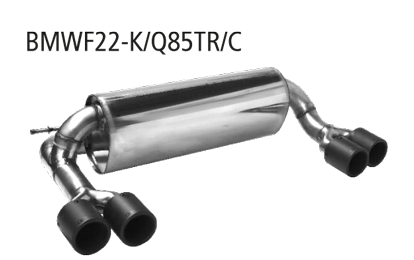 Endschalldämpfer mit Doppel-Endrohr, 2x Ø 85 mm LH+RH, Carbon, m