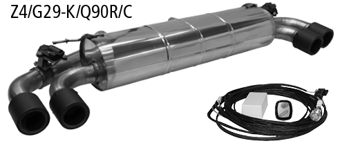Endschalldämpfer mit Doppel-Endrohr Carbon 2x Ø 90 mm LH+RH (im